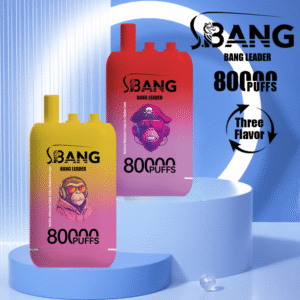 Bang Leader 80K puffs Disposable E Cigarettes vape 850mah Three flavors 0/2/3/5% 12 Flavors 80000 puffs