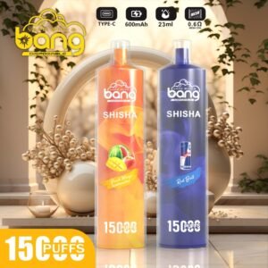 Bang SHISHA 15000 puffs Disposable E Cigarettes vape 600mah 23ml 0/2/3/5% 15k puffs