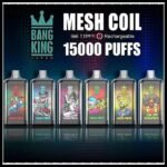 Bang king 15K Disposable E Cigarettes vape 550mah 25ml 0/2/3/5% 1.0ohm 15K puffs
